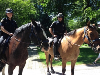 Portland police horse