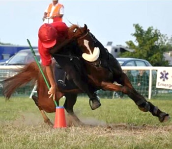 equestrian mounted games