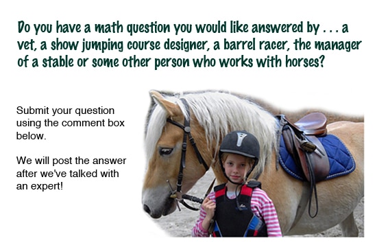 Ask a horse expert