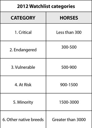Rare horse breed categories