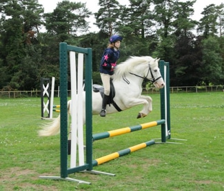 Eriskay pony jumping