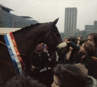 Red Rum at Castle Park