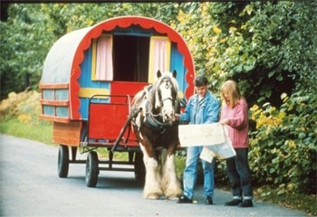horse caravan holiday