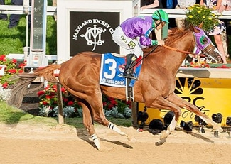 California Chrome wins the Preakness Stakes