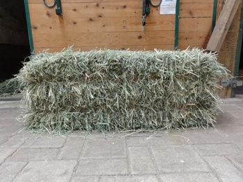 How Many Flakes of Hay are in a Bale 