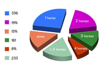 horse turnout pie chart