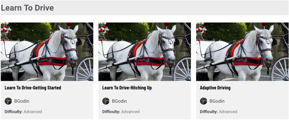 equestrian online learning