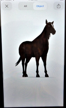 3D horse